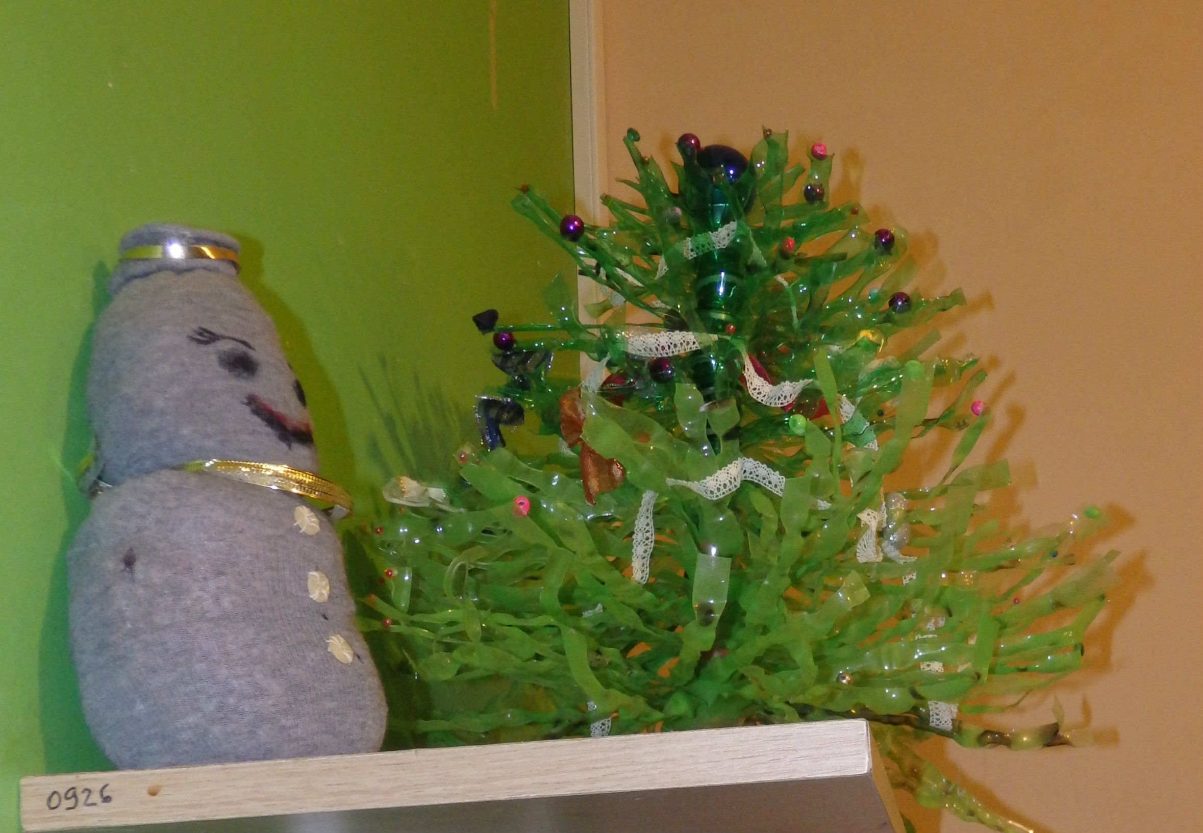 Ovaj borić od plastičnih boca djelo je četvrtaša