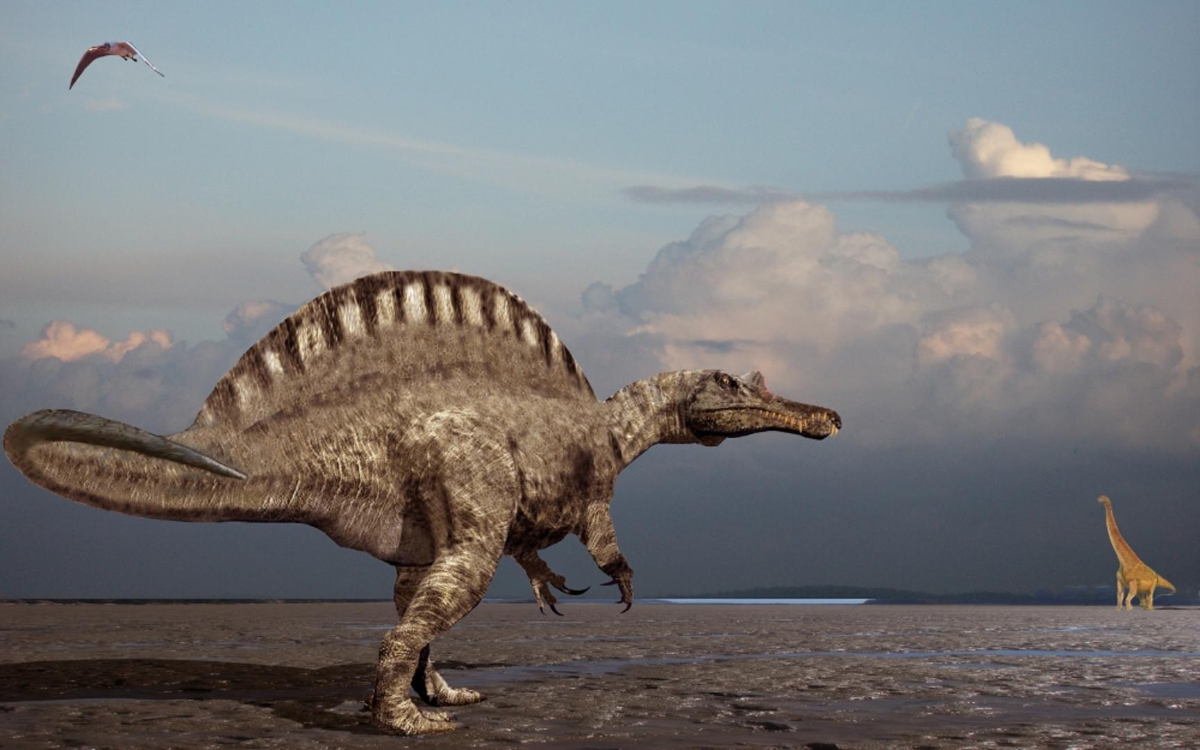 4a9056f3e5ade67161f7